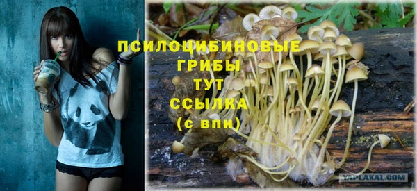 твердый Кострома