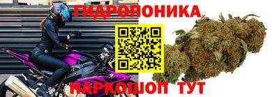 стафф Жуковский