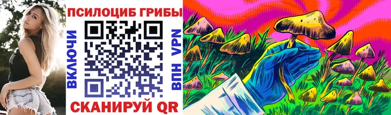 купить наркотики сайты ОМГ ОМГ рабочий сайт Псилоцибиновые грибы мицелий Можайск