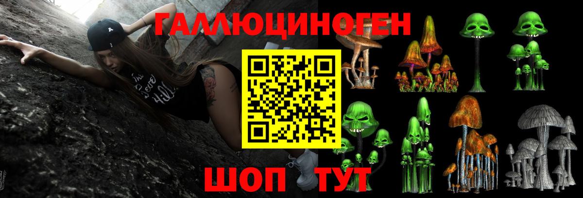 Можайск  Псилоцибиновые грибы Psilocybine cubensis  Вход с VPN 